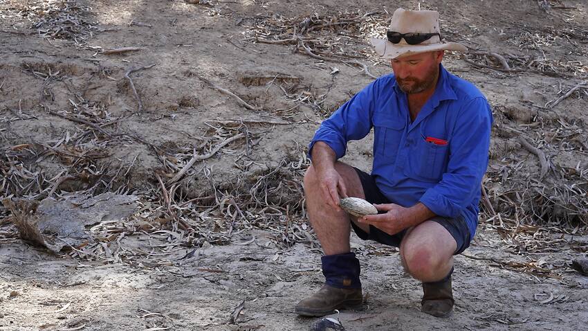 This man's farm can no longer be classed as organic due to water worsened by drought - SBS News