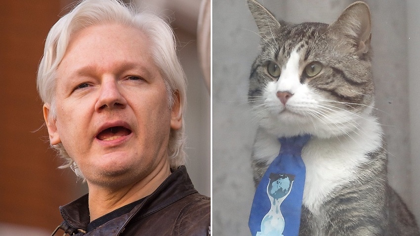 Julian Assange and his cat. He's been ordered to clean up after his cat and pay his bills.